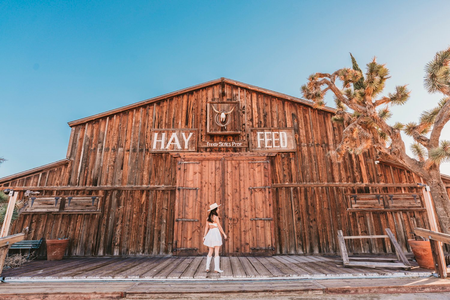 Pioneer Town California