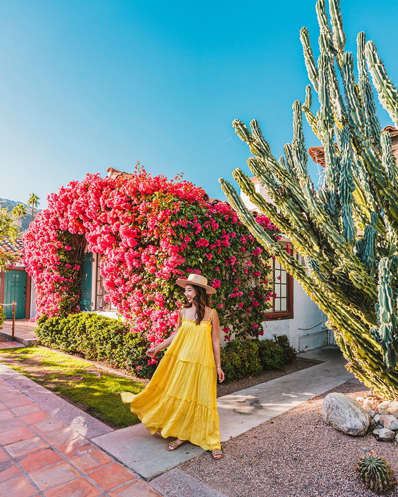 French Miso restaurant in Palm Springs