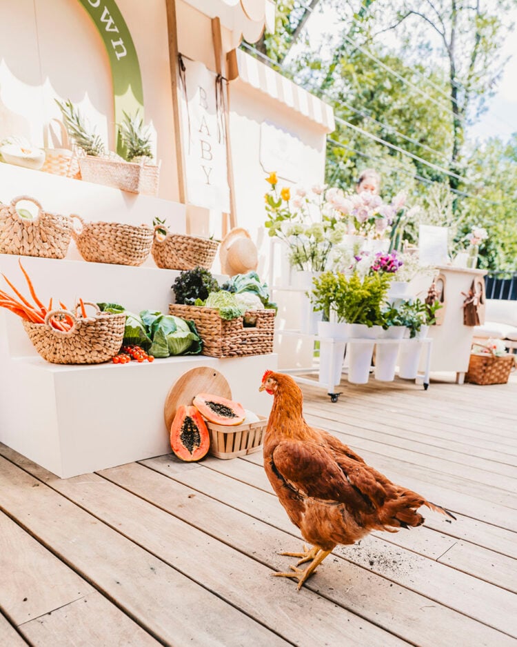 red heritage chickens at baby shower