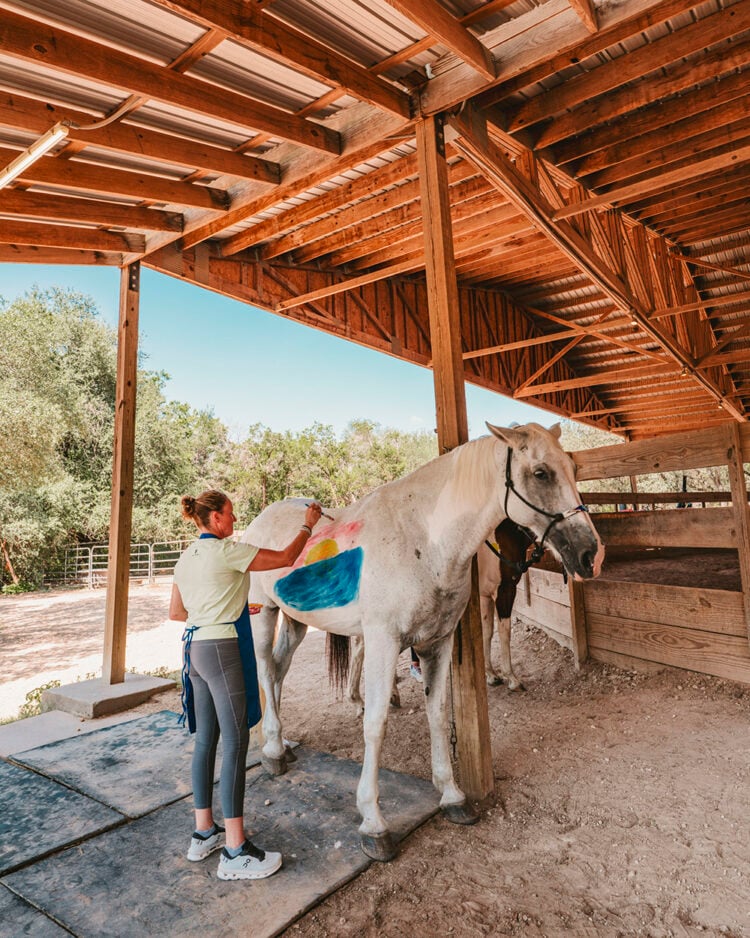 Unforgettable Canvas horses at Miraval Austin